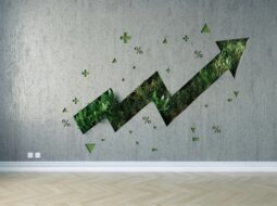 Beyond the Stars How Reputation Management Fuels Real Business Growth